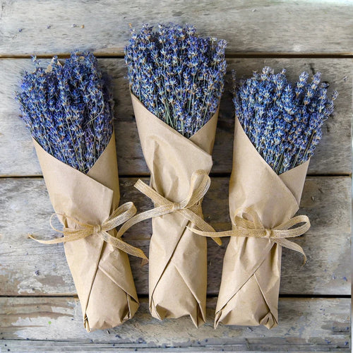 Dried Lavender Bunch – 300+ Stems Certified Organic (2024) – Fragrant Dried Lavender Bundle for Bouquets, Home Decor, Wedding Flowers